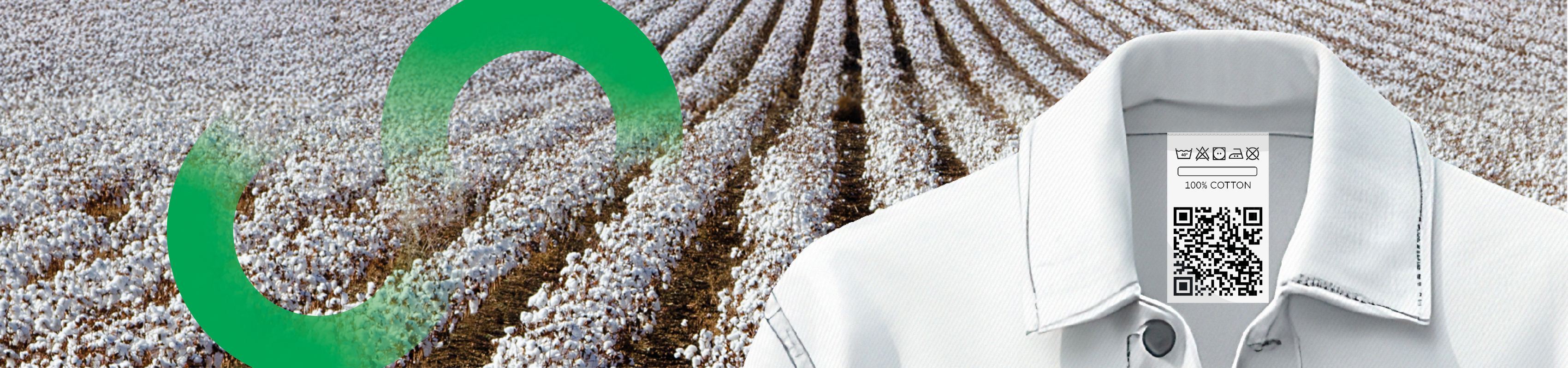 „Weiße Baumwollfelder mit nachhaltigem Kreislauf-Symbol und Nahaufnahme eines weißen Hemdkragens mit Digitalem Produktpass auf dem Pflegeetikett.“