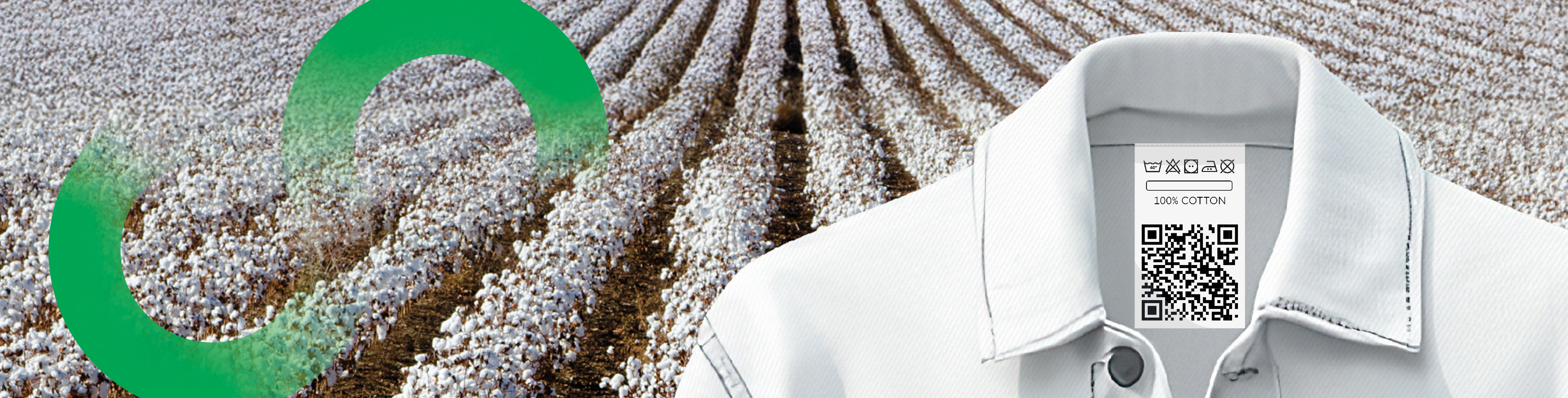 „Weiße Baumwollfelder mit nachhaltigem Kreislauf-Symbol und Nahaufnahme eines weißen Hemdkragens mit Digitalem Produktpass auf dem Pflegeetikett.“