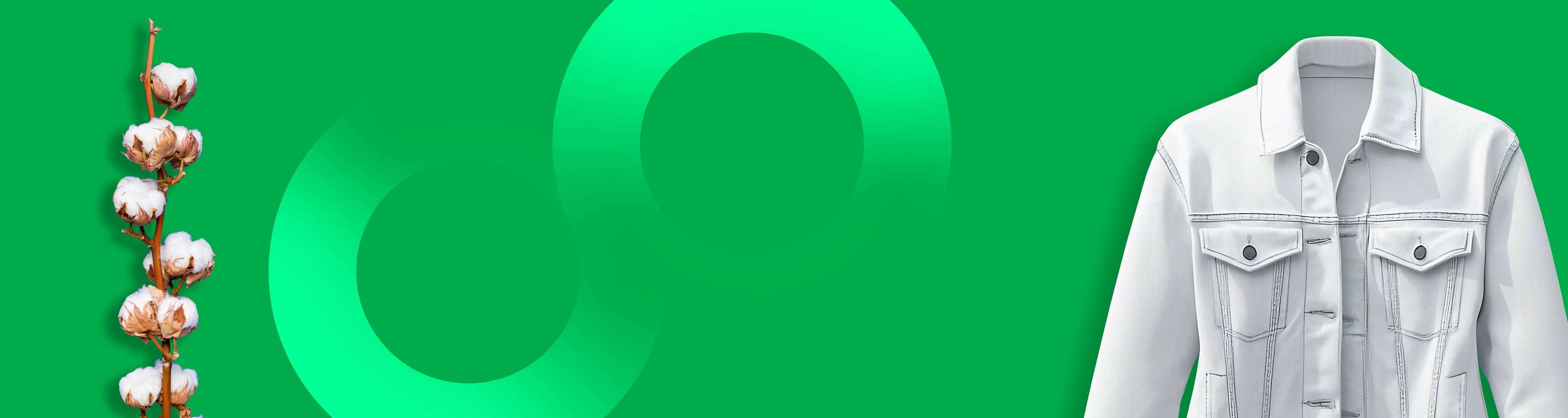 Website Header für die DPP auf der eine Baumwohlpflanze links und ein Weißes Baumwohlhemd rechts zu sehen ist.